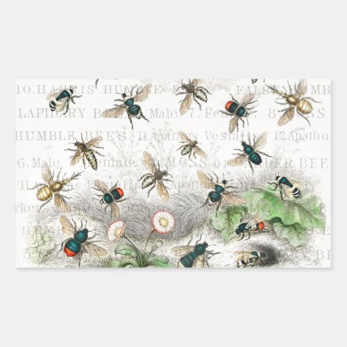 Bee Honey Worker Queen Bees Antique  Rectangular Sticker