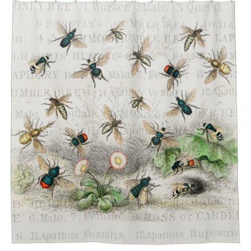 Bee Honey Worker Queen Bees Antique  Shower Curtain