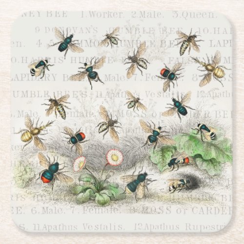 Bee Honey Worker Queen Bees Antique  Square Paper Coaster