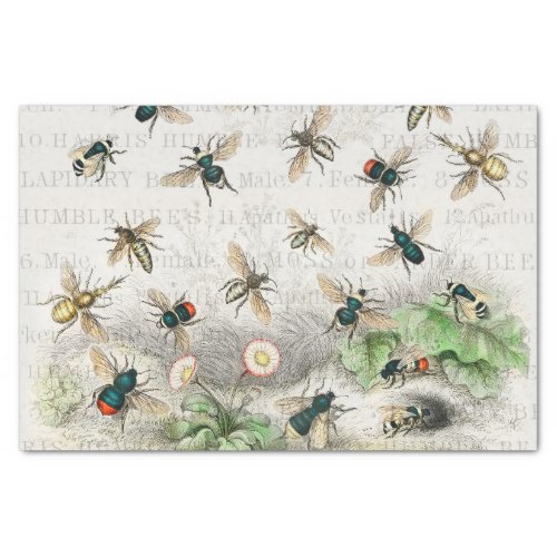 Bee Honey Worker Queen Bees Antique  Tissue Paper