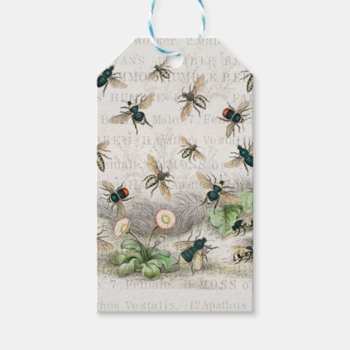 Bee Honey Worker Queen Nature Antique  Gift Tags