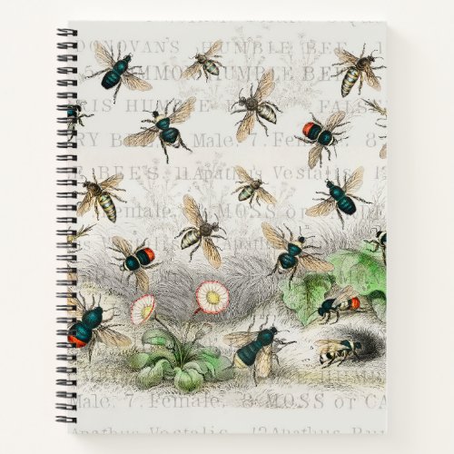 Bee Honey Worker Queen Nature Antique  Notebook