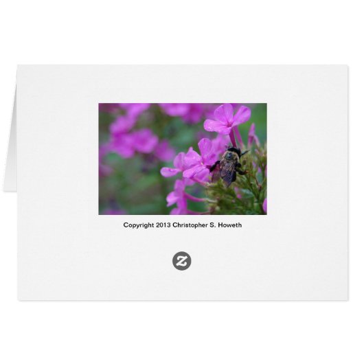 Bee Hugging Flower (Back Horizontal)