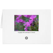 Bee Hugging Flower Cards (Back Horizontal)