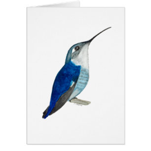 Bee Hummingbird All Occasions Cards