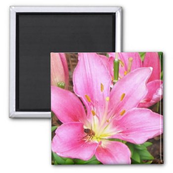 Bee In A Lilly Magnet by FloralZoom at Zazzle