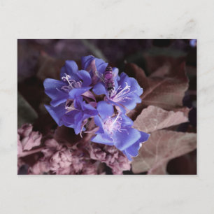 bee in blue flowers colorized purple postcard