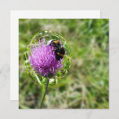 Bee in bubble (Front/Back)