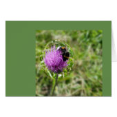 Bee in bubble (Front Horizontal)