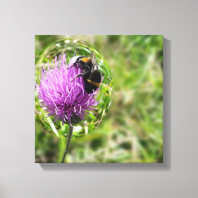 Bee in bubble canvas print (Front)