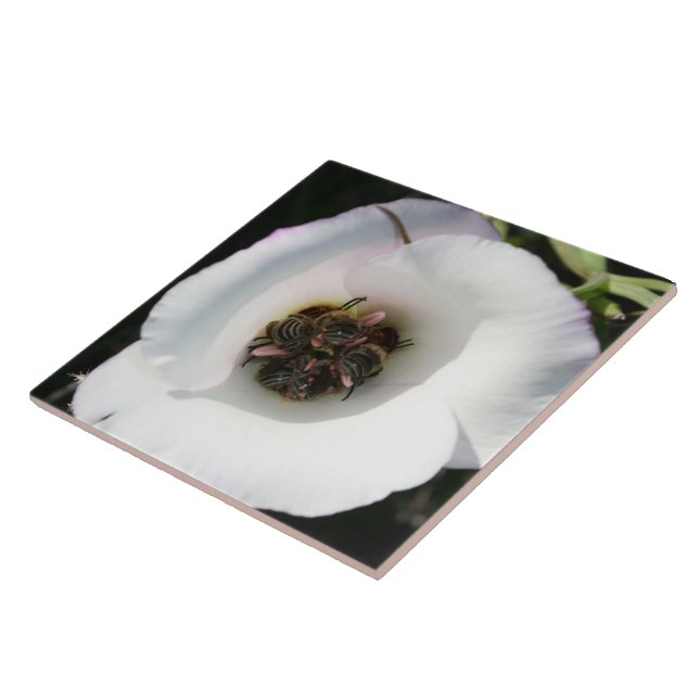 Bee-in Ceramic Tile (Side)