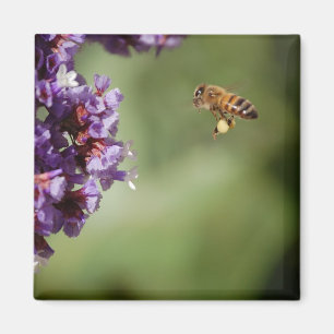 Bee in Flight Magnet