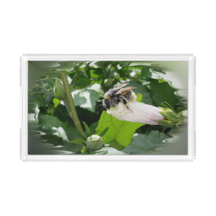 Bee in summer acrylic tray