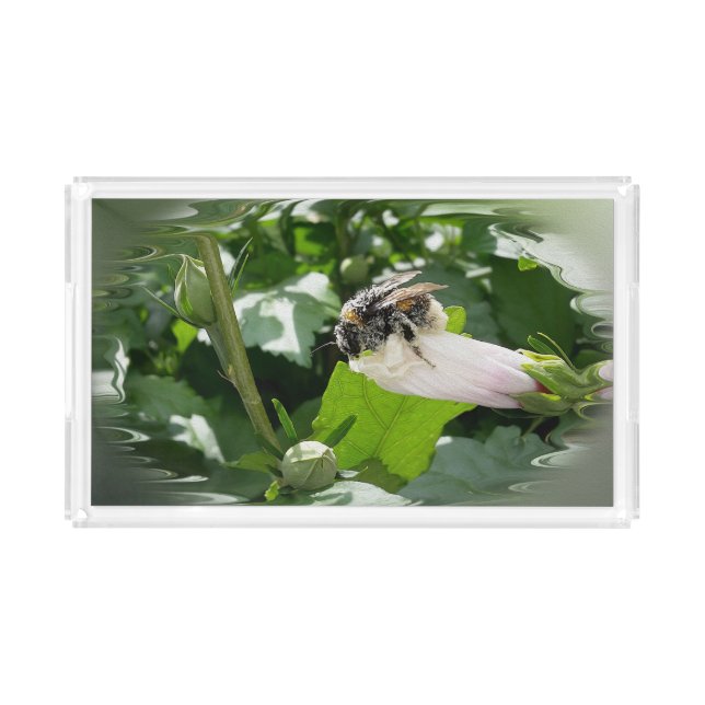 Bee in summer acrylic tray (Front)