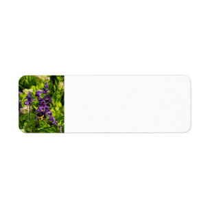 Bee in the Garden Label