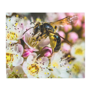 Bee in the Neighborhood 24 x 20 Metal Wall Art