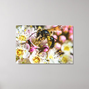 Bee In The Neighborhood Canvas Print 36 x 24
