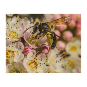 Bee in the Neighborhood Wood Wall Art