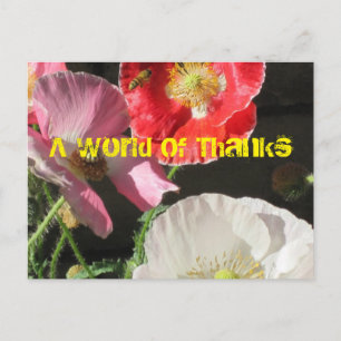 Bee In The Poppies Post Card