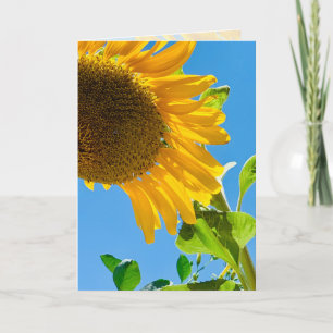 Bee in the sunflower 5x7 thinking of you card