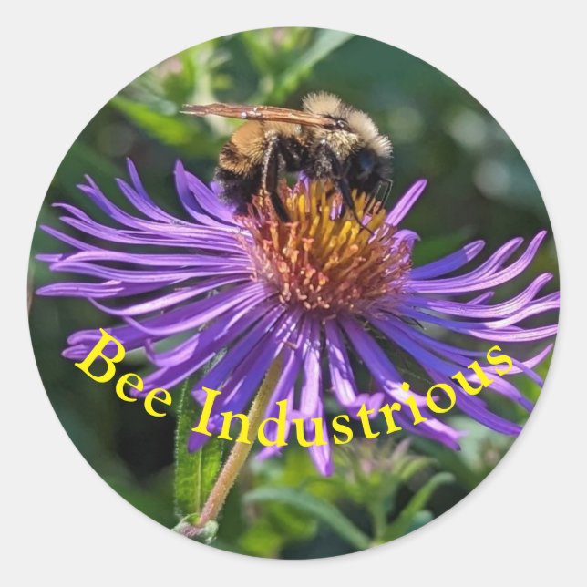 Bee Industrious Classic Round Sticker (Front)