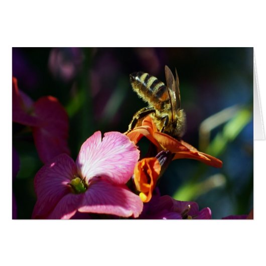 Bee-ing Busy! Cards (Front Horizontal)