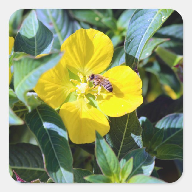 Bee-ing Productive Square Sticker (Front)