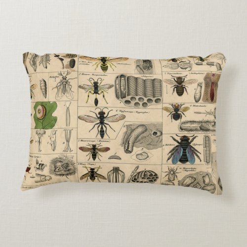 Bee Insect Bug Wasp Natural Nature Bees Painting Accent Pillow