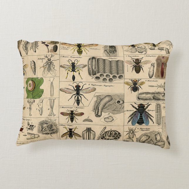 Bee Insect Bug Wasp Natural Nature Bees Painting Accent Pillow (Back)