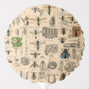 Bee Insect Bug Wasp Natural Nature Bees Painting Balloon