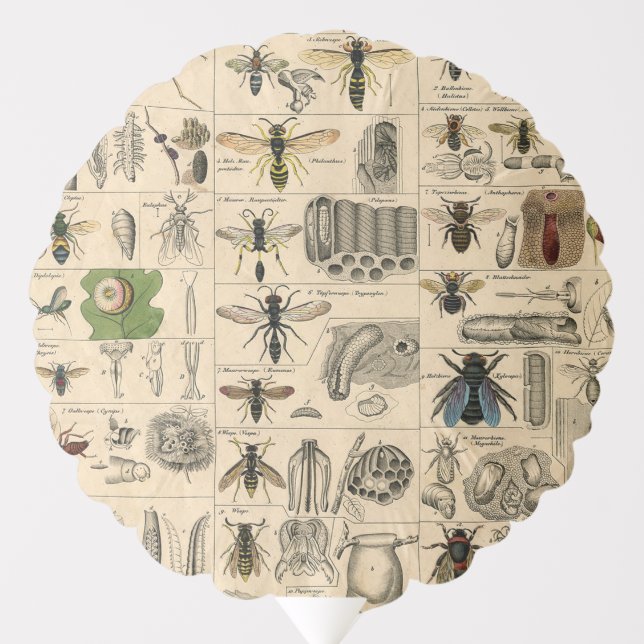 Bee Insect Bug Wasp Natural Nature Bees Painting Balloon (Front)