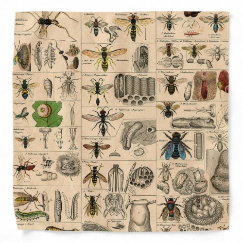 Bee Insect Bug Wasp Natural Nature Bees Painting Bandana