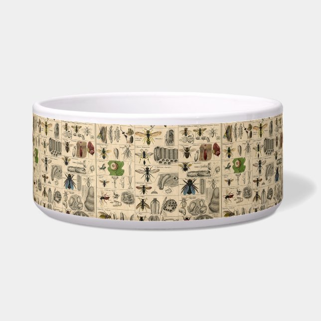 Bee Insect Bug Wasp Natural Nature Bees Painting Bowl (Front)