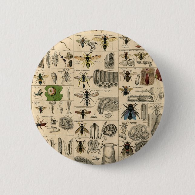 Bee Insect Bug Wasp Natural Nature Bees Painting Button (Front)
