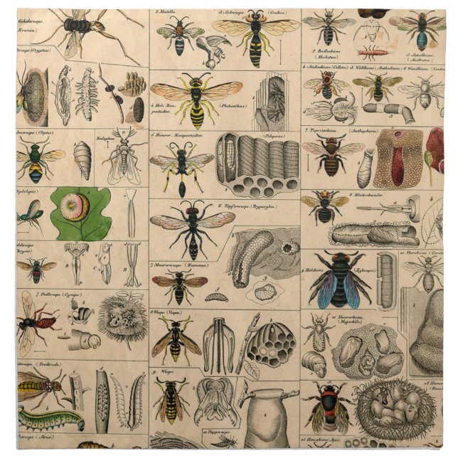 Bee Insect Bug Wasp Natural Nature Bees Painting Cloth Napkin (Front)