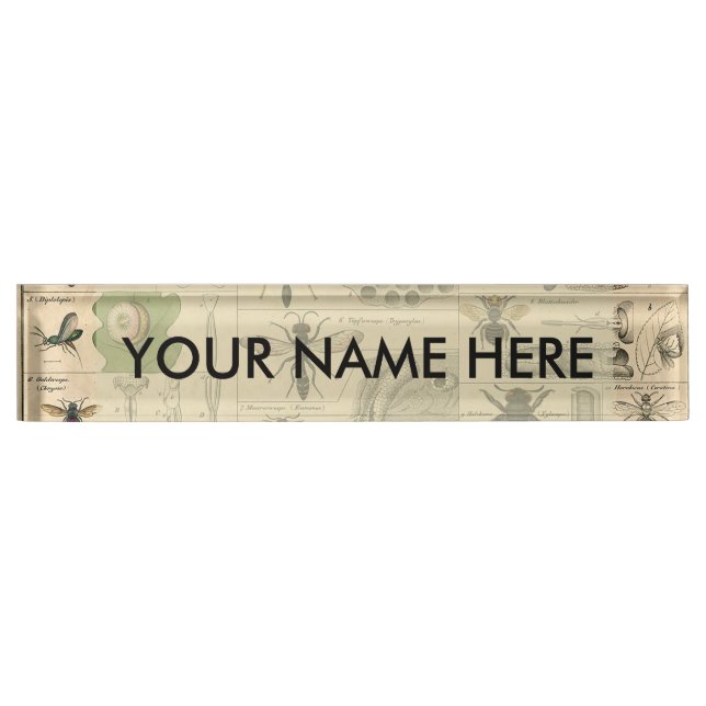 Bee Insect Bug Wasp Natural Nature Bees Painting Desk Name Plate (Front)