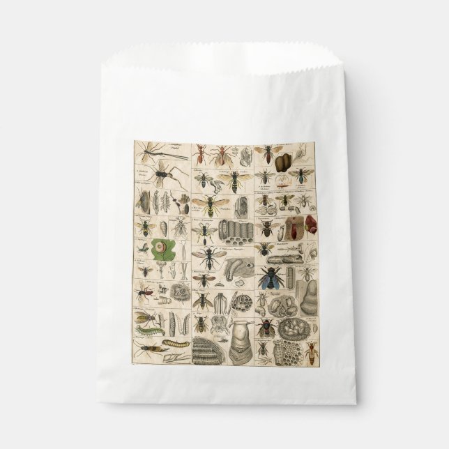 Bee Insect Bug Wasp Natural Nature Bees Painting Favor Bag (Front)