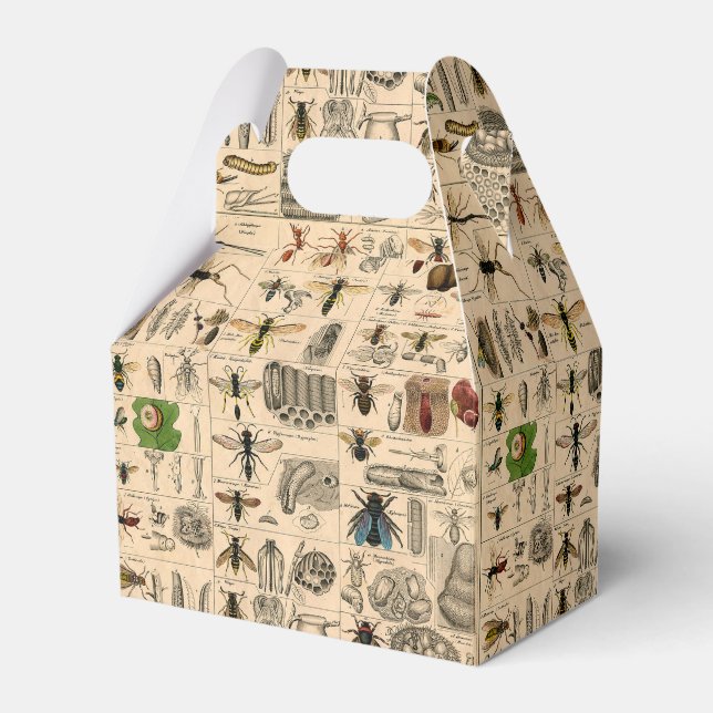 Bee Insect Bug Wasp Natural Nature Bees Painting Favor Boxes (Front Side)