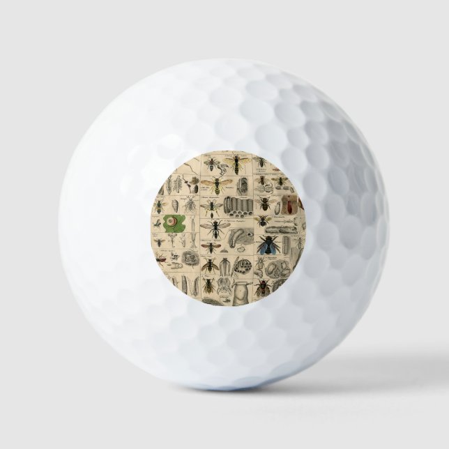Bee Insect Bug Wasp Natural Nature Bees Painting Golf Balls (Front)