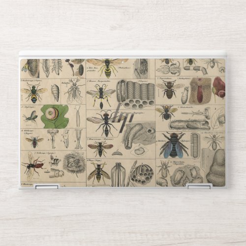 Bee Insect Bug Wasp Natural Nature Bees Painting HP Laptop Skin