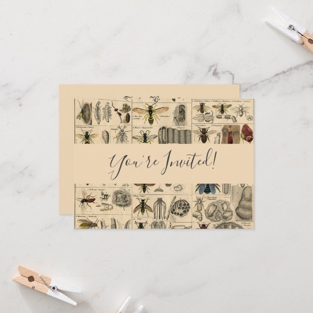 Bee Insect Bug Wasp Natural Nature Bees Painting Invitation (Front/Back In Situ)