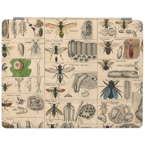 Bee Insect Bug Wasp Natural Nature Bees Painting iPad Smart Cover