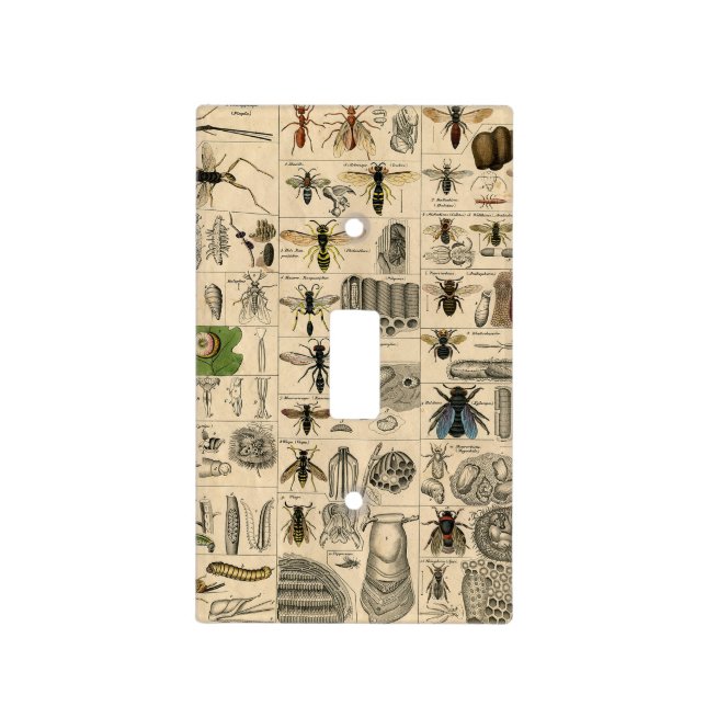 Bee Insect Bug Wasp Natural Nature Bees Painting Light Switch Cover (Front)