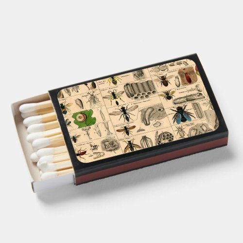 Bee Insect Bug Wasp Natural Nature Bees Painting Matchboxes