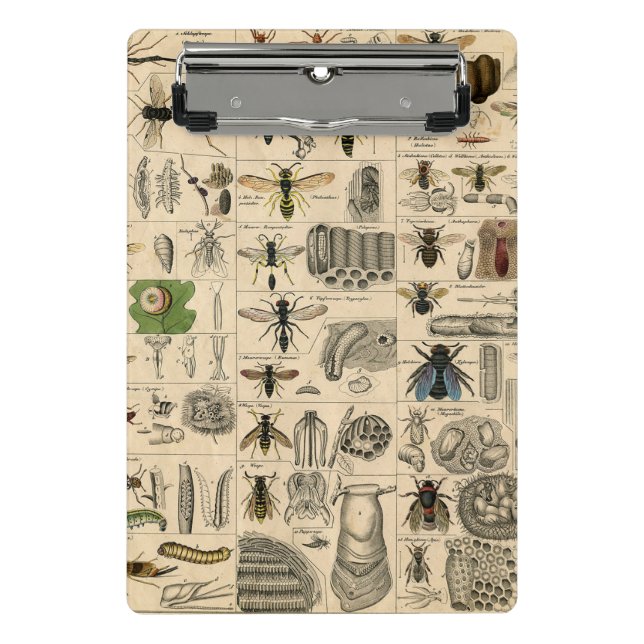 Bee Insect Bug Wasp Natural Nature Bees Painting Mini Clipboard (Front)