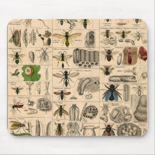 Bee Insect Bug Wasp Natural Nature Bees Painting Mouse Pad