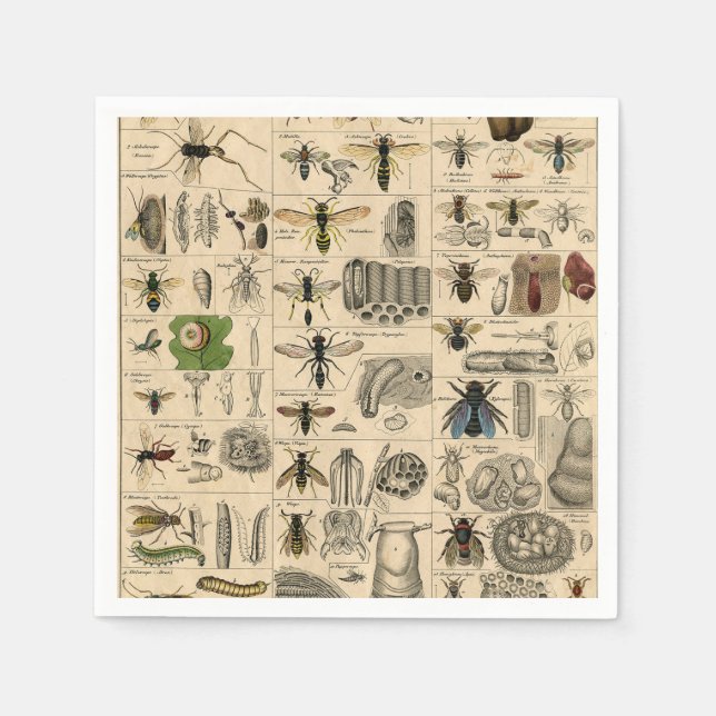 Bee Insect Bug Wasp Natural Nature Bees Painting Napkins (Front)