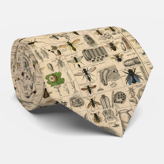 Bee Insect Bug Wasp Natural Nature Bees Painting Neck Tie (Rolled)