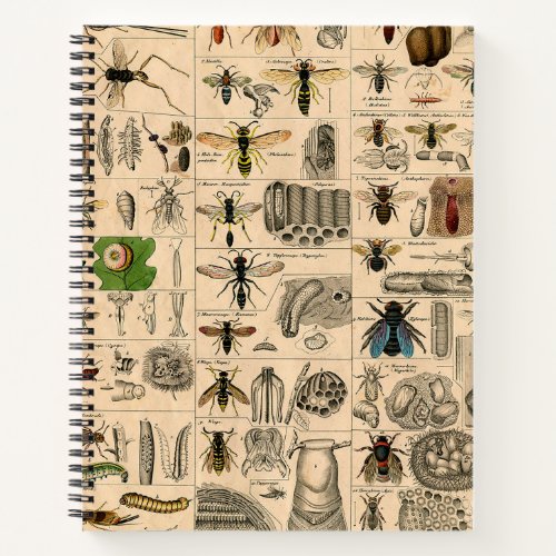 Bee Insect Bug Wasp Natural Nature Bees Painting Notebook