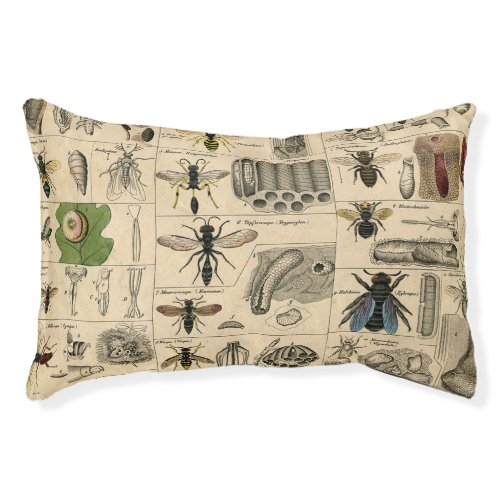 Bee Insect Bug Wasp Natural Nature Bees Painting Pet Bed